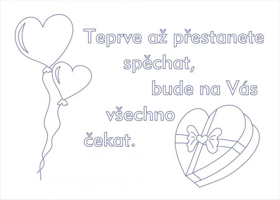 NSO95 kuchařka tesilen 50x70 cm