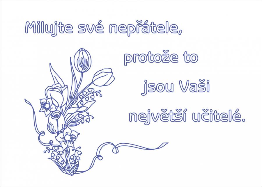 NTO96 tesilen 50x70 cm