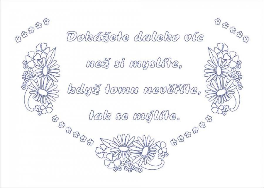 NTO99 kuchařka tesilen 50x70 cm