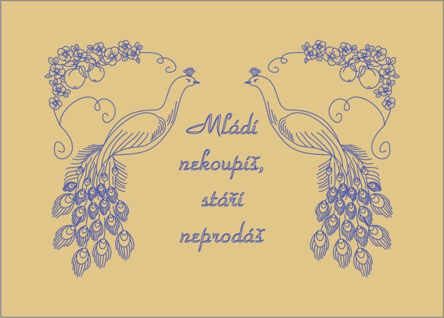 NTB64 Kuchařka 70x50 cm - tesilen béžový