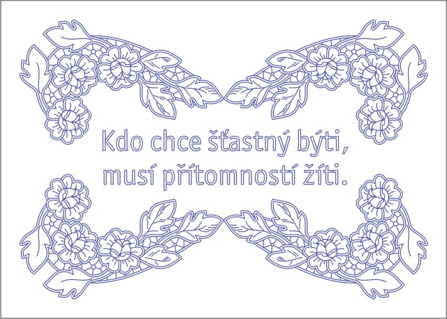 NPO69 Kuchařka 70x50 cm - plátno